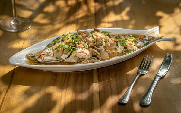 What Are the Challenges in Balancing Professional Ethics and Competitive Success in Sports Coaching?