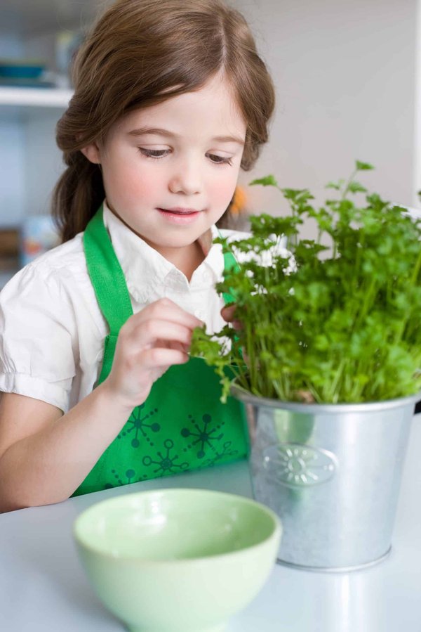 How to Create a Multi-Tiered Indoor Plant Stand for Herbs?